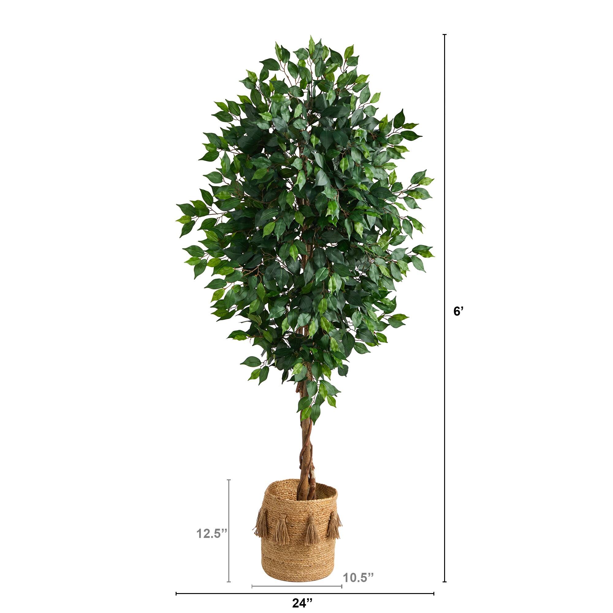 6ft. Ficus Artificial Tree with Natural Trunk in Handmade Natural Jute Planter with Tassels
